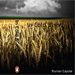 In Cold Blood Cover
